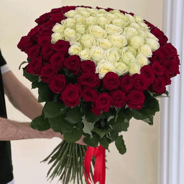 101 роза красная и в середине белая в Новоозёрном
