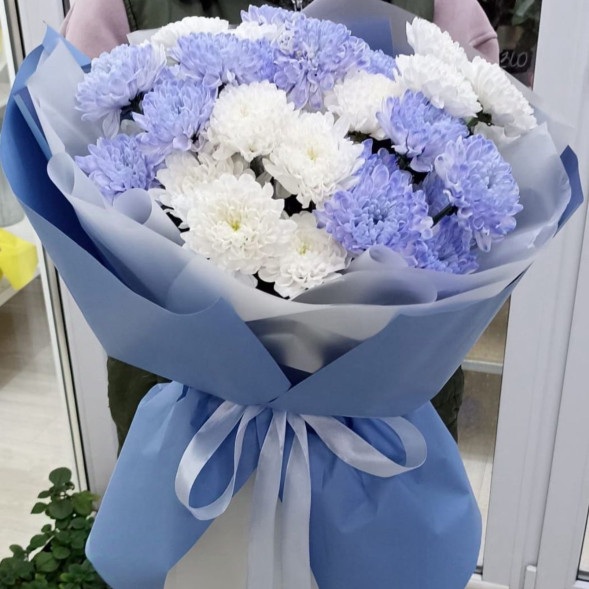 7 белых и голубых хризантем  в Новоозёрном