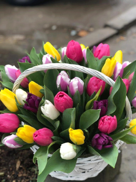 41 тюльпан микс в корзине в Новоозёрном