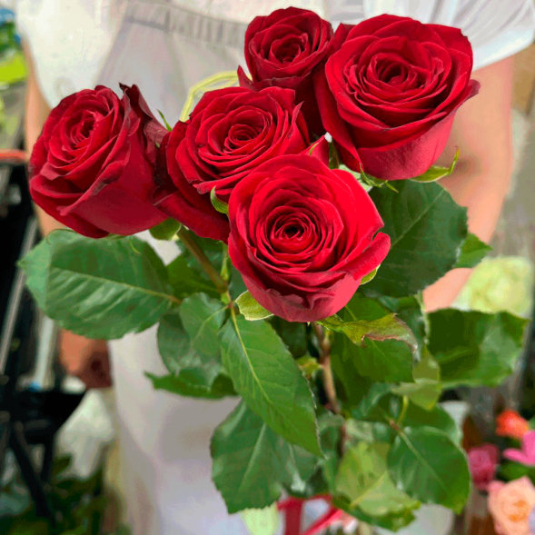 5 красных роз в Новоозёрном