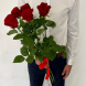 5 красных роз в Новоозёрном