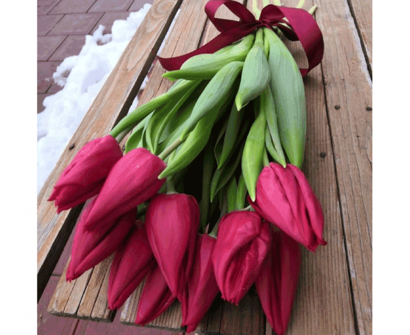 11 красных тюльпанов, лента в Новоозёрном