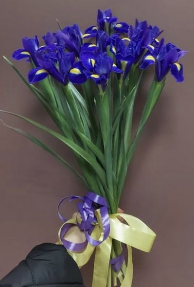 Букет 11 ирисов  в Новоозёрном