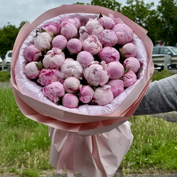 29 пионов &quot;Сара-Бернар&quot; в нежно-розовой упаковке в Новоозёрном