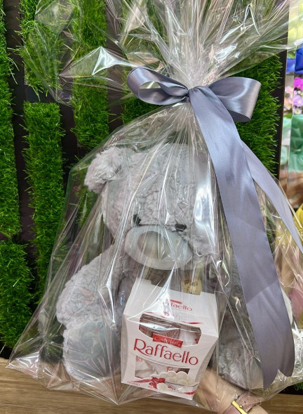 Плюшевый мишка и Raffaello в Новоозёрном