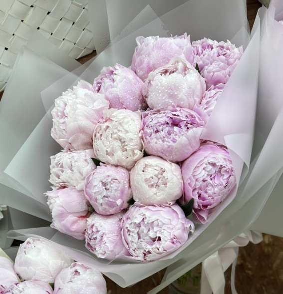 15 пионов Сара Бернар в Новоозёрном